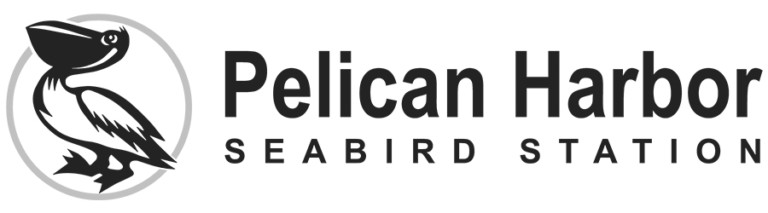 Pelican-Harbor-Landscape-color-outlines-logo-2 (1)